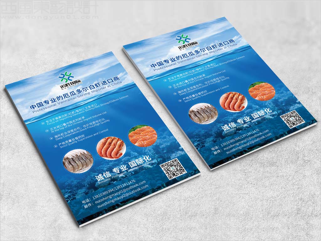 河北任丘市諾勝進(jìn)出口貿(mào)易有限公司宣傳彩頁(yè)設(shè)計(jì) 河北任丘市諾勝進(jìn)出口貿(mào)易有限公司宣傳彩頁(yè)設(shè)計(jì)